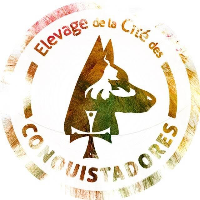 De la Cité Des Conquistadores - Nouveau mail